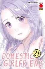 Domestic Girlfriend